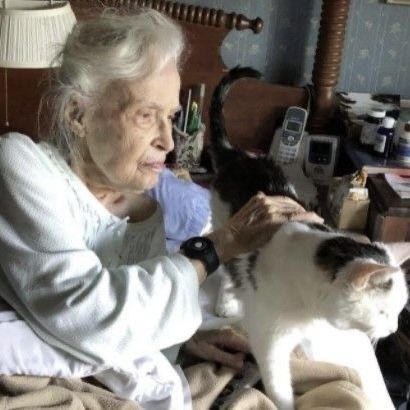 Old Cat Lady, Adoption Stories, Senior Cat, Cat Stories, A Match Made In Heaven, Old Cats, Match Made In Heaven, Old Lady, Old Woman