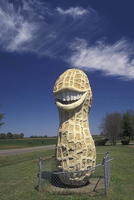 This 13-foot smiling peanut in Georgia helped Jimmy Carter win the 1976 presidential election. Rick Y Morty, Weird Images, Jimmy Carter, Green Day, What’s Going On, Funny Fails, Reaction Pictures, Dankest Memes, Funny Images