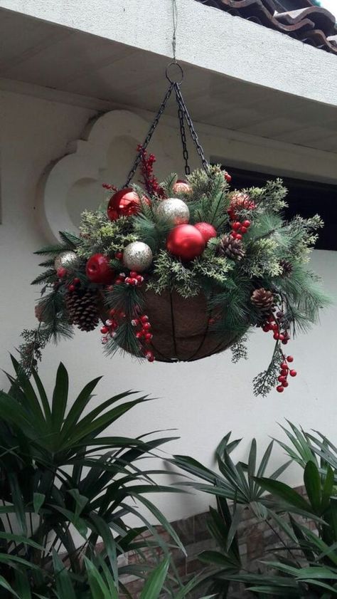 Hanging Basket Ideas, Christmas Hanging Baskets, Christmas Pots, Christmas Flower Arrangements, Christmas Planters, Christmas Hanging, Christmas Baskets, Christmas Garden, Christmas Arrangements