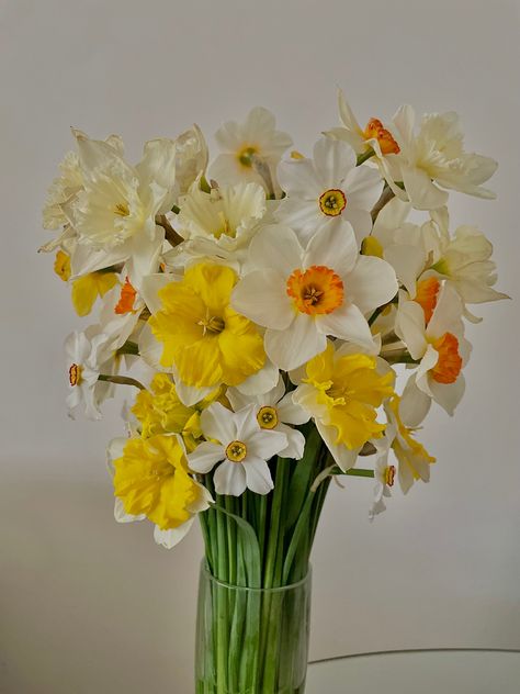 Daisy Daffodil Bouquet, Daffodils Bouquet Aesthetic, Vase Of Daffodils, Freesia Flower Bouquet, Daphidill Flower, Daffodil Flower Bouquet, Dafodill Bouquet, Dafodill Flower Aesthetic, Daphadil Flower