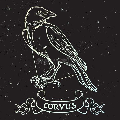 Corvus Constellation Tattoo, Raven Line Drawing, Corvus Constellation, Raven Vector, Constellation Drawing, Night Silhouette, Night Sky Background, Raven Bird, Magic Tattoo