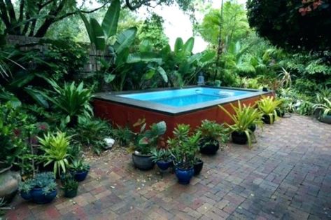 20 Luxurious Above Ground Pool Designs Plants Around Pool, Small Above Ground Pool, Pools For Small Yards, Tattoo Plant, Endless Pool, Above Ground Pools, Small Yards, Tropical Backyard, Small Terrace