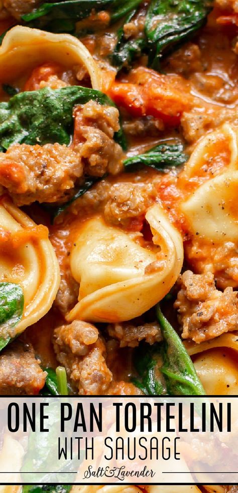 closeup of pasta in sauce with text overlay that reads one pan tortellini with sausage Tortellini With Sausage, Easy Tortellini Recipes, Dinner Spinach, Spinach Sausage, Spinach Tortellini, Comforting Dinner, Sausage Tortellini, Italian Sausage Pasta, Italian Sausage Recipes