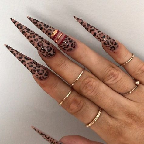 Acrylic Stiletto Nails, Stilleto Nails Designs, Light Elegance, Stiletto Nails Designs, Print Nails, Exotic Nails, Animal Print Nails, Nail Design Ideas, Bling Acrylic Nails