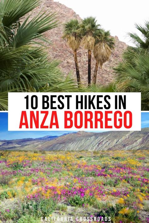 Anza-borrego Desert State Park, Hikes In California, Anza Borrego State Park, Desert Hiking, Southern California Hikes, Borrego Springs, Anza Borrego, California Travel Guide, California Hikes