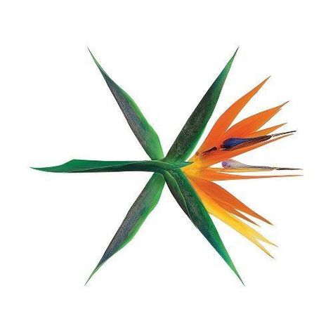 EXO 'THE WAR' 4th Full Album with the title track 'KOKOBOP' Exo Logo, Exo Kokobop, Exo Album, Ko Ko Bop, Summer Playlist, Exo Korean, Pop Albums, Exo K, Pop Artist