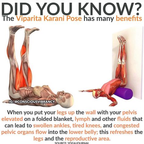 The many benefits of the Viparita Karani Pose. Legs Up The Wall, دورة شهرية, Yoga For Runners, Yoga Beginners, Easy Yoga Poses, Yoga Posen, Relieve Back Pain, Yoga Exercises, Different Exercises