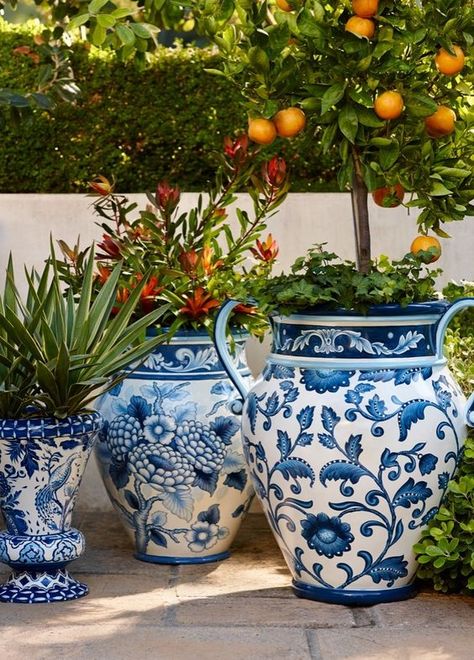 These oversized blue and white planters are fabulous. I appreciate the way they bring pattern to the outdoor space. Image from Frontgate Blue And White Vases, Outdoor Vases, Porcelain Decor, Orange Trees, نباتات منزلية, Blue White Decor, White Pottery, Blue And White China, Exotic Birds