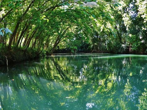 Floating the San Marcos River....lovely San Marcos River, Visit Austin, Blue Hole, River Bed, Adventure Baby, Texas Girl, Swimming Holes, Texas Travel, Summer Travel