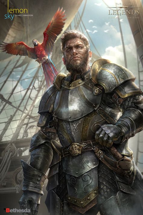 Camlorn Hero - Elder Scrolls Legends The Elder Scrolls, Male Character, Fantasy Male, Fantasy Armor, Fantasy Warrior, Arte Fantasy, Fantasy Rpg, The Ship, Fantasy Inspiration