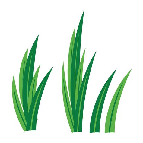 greem pandan leaves vector design Daun Pandan, Pandan Leaves, Leaves Illustration, Leaf Drawing, Cow Calf, Leaves Vector, Sign Ideas, Wood Sign, Vector Design