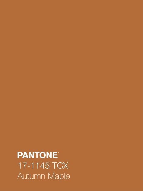 Autumn Pantone, Relax Pictures, Fall Crafts Decorations, Color Backgrounds, Color Design Inspiration, Deep Autumn, Solid Color Backgrounds, Pantone Color, Color Theory