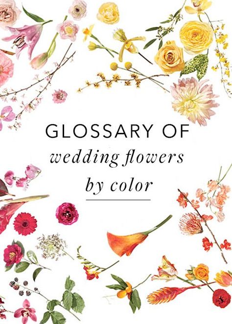 Flowers By Color, Dream Wedding Bouquet, Flower Guide, Wedding Arrangements, Arte Floral, Flower Bouquet Wedding, Types Of Flowers, Trendy Wedding, Plan Your Wedding