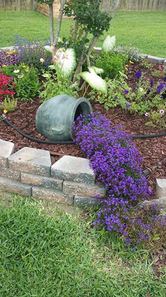 Landscaping Around Birdbath, Round Flower Bed Ideas Design, Flower Bed With Bird Bath Front Yards, Flowerbed Shape Ideas, Kidney Bean Shaped Flower Bed, Kidney Shaped Flower Bed, Small Front Yard Landscaping, Front Gardens, Front Yard Garden Design