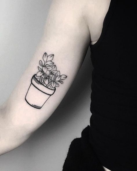 Jade Plant Tattoo, Cornwall Tattoo, Jade Tattoo, Pot Tattoo, Iron Tattoo, Succulent Tattoo, Plant In A Pot, Jade Plant, C Tattoo