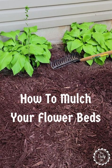 Step By Step How To Lay Down Mulch Raised Mound Flower Beds, Large Mulch Bed Around Tree, How To Add Mulch Flower Beds, How To Plant Flowers In Mulch, Dark Mulch Landscaping Flower Beds, Mulch Bed Edging Ideas, Soil Prep For Flower Beds, Mulch Landscaping Ideas Around House, Flower Beds With Mulch