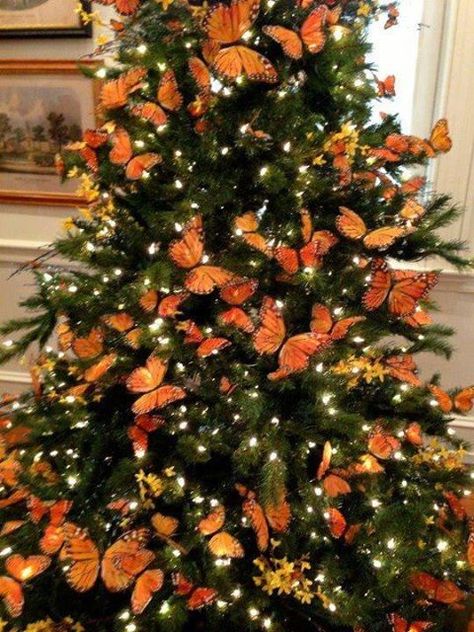 Lil has asked for a butterfly Christmas tree this year. Orange Christmas Tree, Painted Butterflies, Tree Wreaths, Amazing Christmas Trees, Floral Tree, Butterfly Tree, Orange Christmas, Monarch Butterflies, Unique Christmas Trees