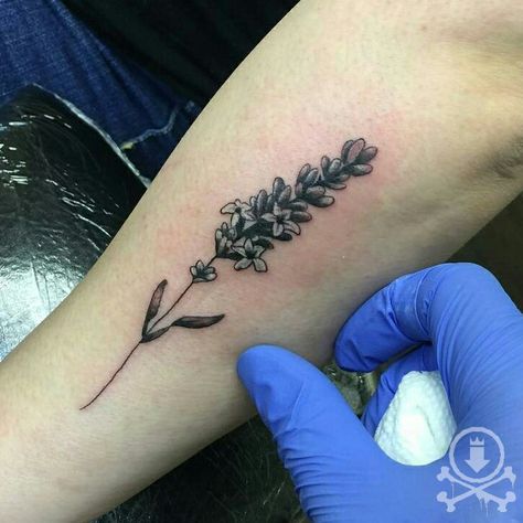 Cute black and grey lavender sprig tattoo by Mario Rivera Jr. #12ozstudios #team12oz #tattoos #tattooartist #tattooart #tattooed #inked #bodyart #lavender #blackandgrey #blackandgreytattoo #flowertattoo #tinytattoo #cutetattoos Black And Grey Lavender Tattoo, Sprig Tattoo, Good Tattoo Quotes, Lavender Tattoo, Grey Lavender, Black And Grey Tattoos, Tiny Tattoos, Cute Tattoos, Tattoos And Piercings