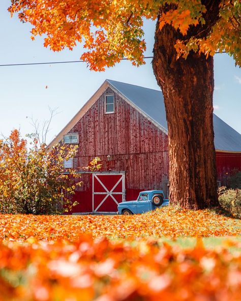 Huck on Instagram: “Which one of these simple barn views is your favorite? 🍂” American Barn, Country Barns, Barn Painting, Fall Country, Autumn Scenes, Down On The Farm, Autumn Scenery, Red Barns, Autumn Beauty