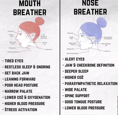 The Nature Apothecary, [Aug 18, 2023 at 7:47 AM] Mouth-breathing happens mostly while we sleep. Many people are taping their mouths during the night to avoid it. If you've tried it, tell us what you think and any tips to do it safely and effectively. Make sure you don't use anything with chemicals/toxic adhesives. And never try this on babies, children, or anyone else. T.me/TheNatureApothecary T.me/TheNatureApothecaryChat Nasal Breathing, Mouth Breathing, Mouth Breather, Forward Head Posture, Snoring Remedies, How To Stop Snoring, Health Guru, Natural Cold Remedies, Inflammatory Foods