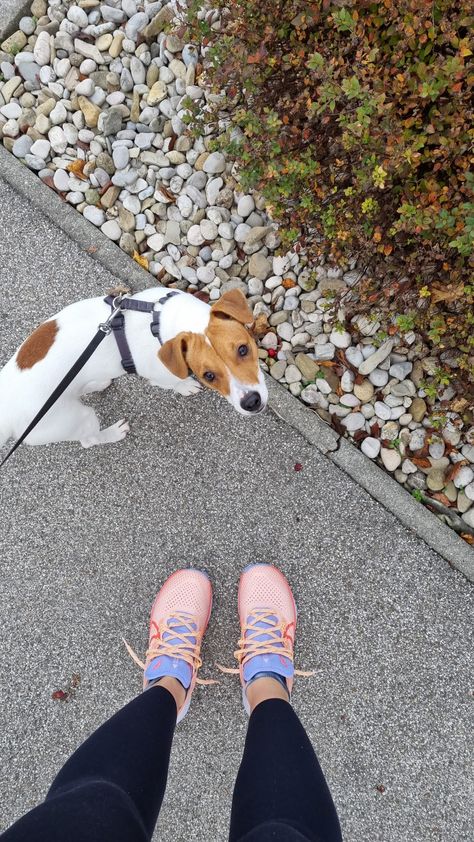 Dog Walking Aesthetic, Vision Board New Year, Run Pic, Playing With Dog, June Moodboard, Goals Board, Walking Gear, Dog Walking Services, Finding Motivation