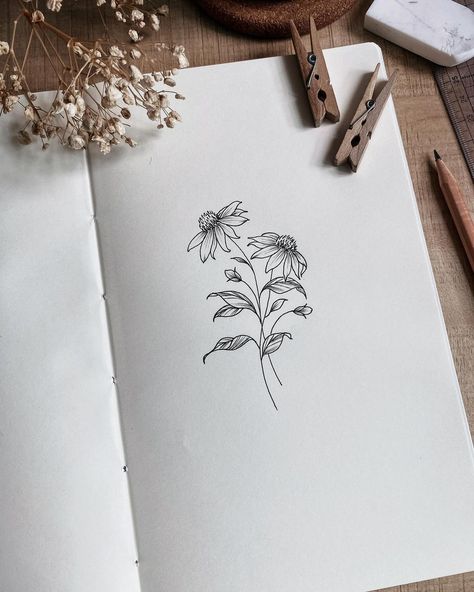 #floralinspiration • E for Echinacea - Strength 💜 Q: Where are you from? This is a question I get asked quite often so I thought maybe… | Instagram Echinacea Drawing Simple, Seed To Flower Drawing, Cone Flower Tattoo, Echinacea Drawing, Echinacea Tattoo, Coneflower Drawing, Milkweed Tattoo, Coneflower Tattoo, Echinacea Flower