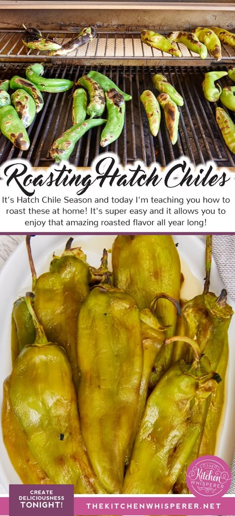 Roasted Hatch Chili Peppers Recipes, How To Roast Hatch Green Chiles, Roasting Hatch Green Chilis, How To Roast Green Chilis On The Grill, Fresh Green Chili Pepper Recipes, Roasting Green Chilis On The Grill, Roasted Hatch Peppers, How To Roast Green Chiles, Roasted Green Chiles