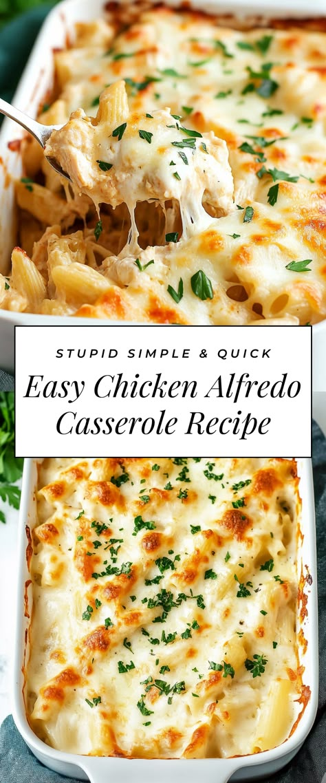 Image for Easy Chicken Alfredo Casserole Recipe Rotisserie Chicken Alfredo Recipes, Chicken Supreme Casserole, Casserole Recipes Using Rotisserie Chicken, Christmas Chicken Casserole, Large Casserole Recipes, Freezer Chicken Alfredo, Italian Chicken Casserole Recipes, Potluck Chicken Recipes, Pasta Casserole Recipes Easy