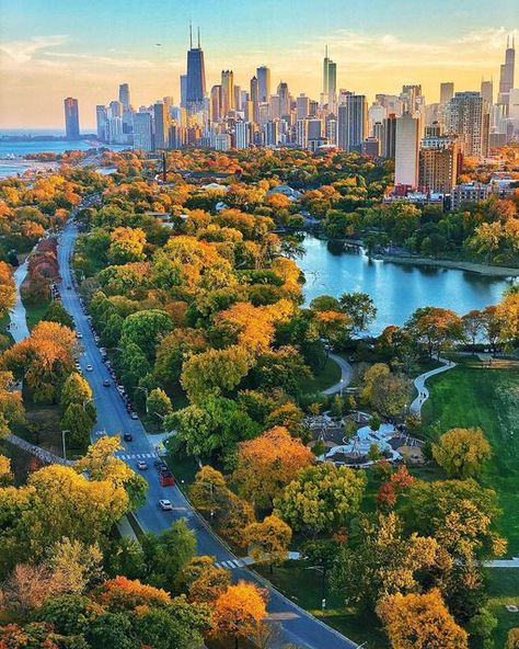 John O'Neill on Instagram: "Autumn Lights Up Lincoln Park. #lincolnpark #linconparkchicago #artofchi #igerschicago #chicago #likechicago #chicity_shots #lifeofchicago #chicagoskyline #ig_chicago #insta_chicago #thisischicago #chicagohome #eyeinthechi #unlimitedchicago #chicago_citylife #flippinchi #citybestpics #igscities #chi.shooters #ilove_chicago #igcities #cityviews #shotsofchicago #cityscapes_bl #citykillerz #chicagocityworld #chicago.explore #illgrammers #chicagoarchitecture" Chicago Lincoln Park, Chicago Parks, Chicago Fall, Lincoln Park Chicago, Chicago Park, Chicago Aesthetic, Chicago Summer, Fall City, Chicago Street