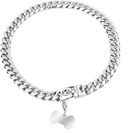 AmazonSmile : Chain Dog Collar- Pet Dog Collar Cool Metal Necklace,Lightweight Metal Puppy Jewelry 14" Chain Puppy Collar - Silver : Pet Supplies Puppy Jewelry, Prong Collar, Pet Things, Puppy Collar, Silver Dog, Martingale Dog Collar, Collar Chain, Light Weight Jewelry, Puppy Collars