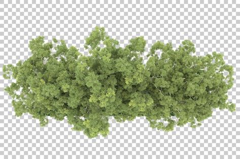 Forest Top View Illustration, Bushes Png, Forest Top View, 2d Furniture, Winter Overlays, Png Top, Land Design, Tree Interior, Urban Design Graphics