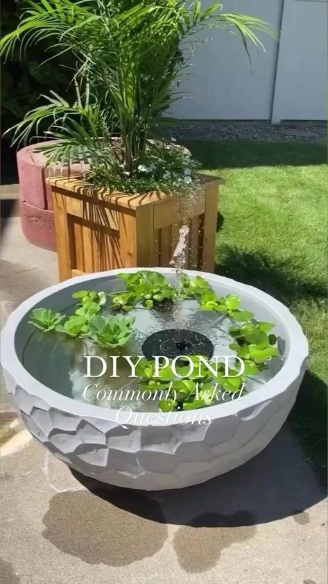 DIY Patio Pond: Most commonly asked questions, answered! 💦�🌿 Follow Once Upon a Bungalow for more Home & DIY! 🛠️🏡#diy #patio #patiopond #pond #pondlife #patiodecor #patiodesign #deck #deckdesign #outdoordecor #patioseason #patiostyle #diyprojects #diyproject #easydiy #patiogarden #garden #gardening #gardeninspiration #gardenlove #gardendecor #gardenideas #patiogarden | Once Upon a Bungalow | The Bird And The Bee · I'm Into Something Good Diy Patio Pond, Diy Pond Fountain, Patio Water Fountain, Patio Pond, Diy Water Fountain, Solar Water Fountain, Diy Pond, Diy Garden Fountains, Diy Fountain