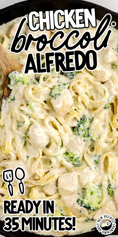 Fetuccini Alfredo, Broccoli Alfredo Pasta, Penne Alfredo, Chicken Broccoli Pasta, Chicken Fettuccine Alfredo, Chicken Broccoli Alfredo, Chicken Fresh, Pasta Recipes Alfredo, Chicken Fettuccine