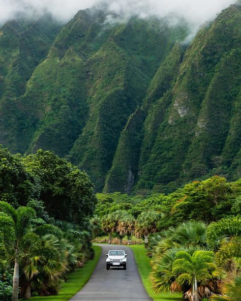 Oahu road trip via (@chelseakauai) Waimea Valley, Hawaii Landscape, Diy Life, Oahu Hawaii, Hawaii Travel, Europe Destinations, Kauai, Nature Travel, Travel Aesthetic