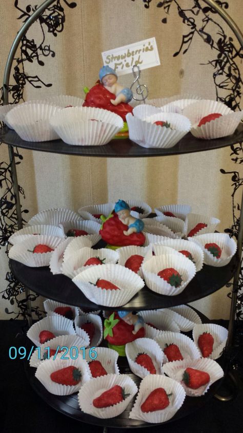 Strawberry fields  The Beatles Beatles Baby Shower Ideas, Beatles Themed Party Food, Beatles Party Games, Beatles Baby Shower, Paul Mccartney Strawberry Fields Forever, Beatles Strawberry Fields, Beatles Baby, Strawberry Fields, Baby Showers