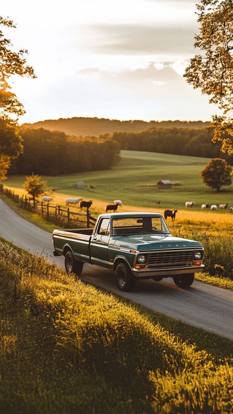 Classic green Ford truck driving on a scenic country road at sunset with cows grazing in the background. Chevy Trucks Aesthetic, Old Ford Ranger, Pickup Truck Aesthetic, White Ford Truck, Vintage Truck Photoshoot, Vintage Country Aesthetic, Dentside Ford, 1970 Cars, Ranch Truck