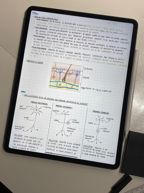 Good Notes 5, Ipad Notes, Ipad Essentials, Medical School Life, Study Mode, Basic Anatomy And Physiology, College Motivation, Med School Motivation, Medical School Motivation