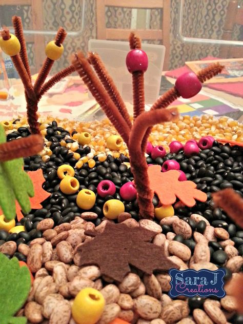 Halloween Theme Preschool, Sensory Bin Ideas, Fall Sensory Bin, Apple Kindergarten, Fall Sensory, Toddler Sensory Bins, Fine Motor Practice, Apple Preschool, Science Experiments For Preschoolers