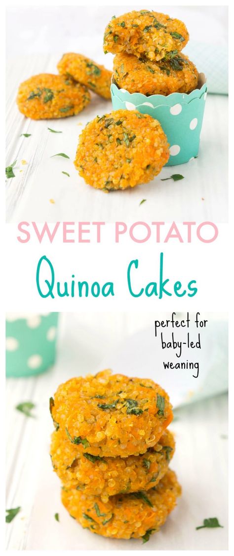 Kids Quinoa Recipes, Quinoa Sweet Potato Patties, Quinoa Cakes Vegan, Quinoa For Toddlers, Sweet Potato Kids Recipes, Blw Sweet Potato Recipes, Sweet Potato And Quinoa Recipes, Quinoa And Sweet Potato Recipes, Toddler Sweet Potato Recipes