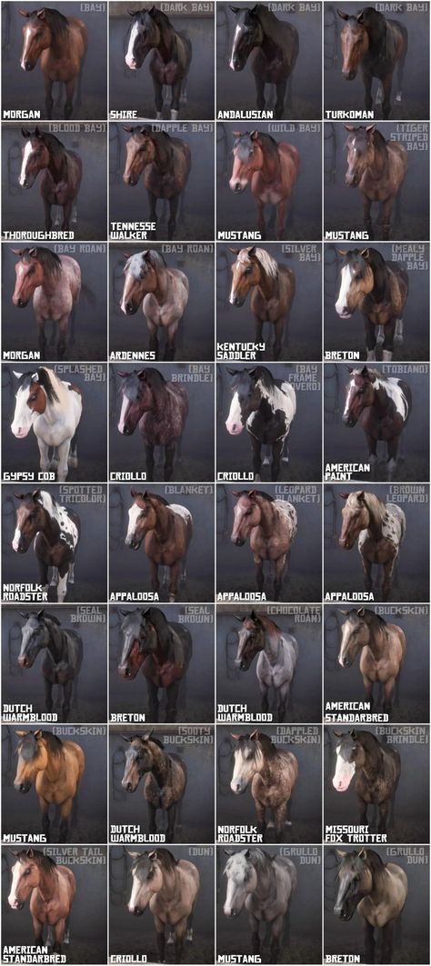 Rdr2 Horses Map, Rdr2 Legendary Animals Map, Rdr2 100% Completion Map, Missouri Fox Trotter Horse Rdr2, Legendary Animals Rdr2, Horse Games Online, Rdr2 Horse Breeds, Horseshoe Overlook Rdr2, Arthur Morgan Riding Horse