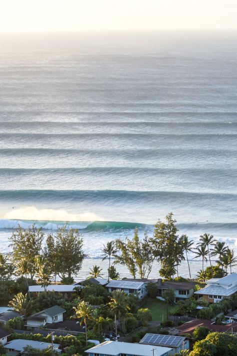 North Shore, Oahu Hawaii // #surf #surftrip North Shore Hawaii Oahu, North Shore Aesthetic, North Shore Oahu Aesthetic, Oahu Surfing, Sunrise Surfing, Hawaii North Shore, Surfing In Hawaii, Oahu North Shore, Surfing Hawaii