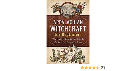 Witchcraft Books, Folk Magic, Witchcraft For Beginners, Witch Books, Modern Witch, Melting Pot, Practical Magic, Room Decorations, The Wisdom