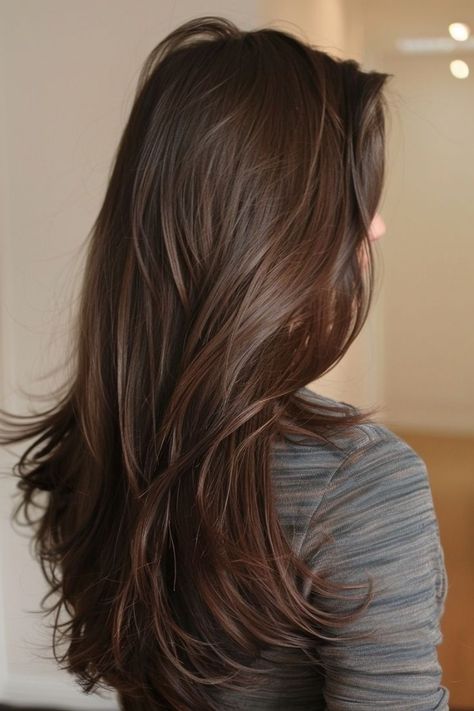 Chest Nut Brown Balayage, Brown Hair Chestnut Highlights, Brunette Hair Color Dark, Glazed Brown Hair, Chest Nut Brown Hair, Chocolate Brown Hair Medium Length, Brown Balayage For Black Hair, Almond Brown Hair, Chocolate Brown Hair Asian