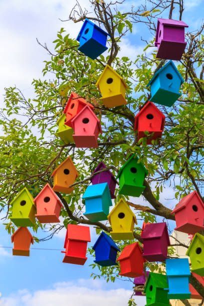 Mandarin Tree, Bird Houses Ideas Diy, Bird House Feeder, Bird House Plans, Bird Houses Painted, Diy Bird Feeder, Decorative Bird Houses, Garden Decor Projects, Bird Houses Diy