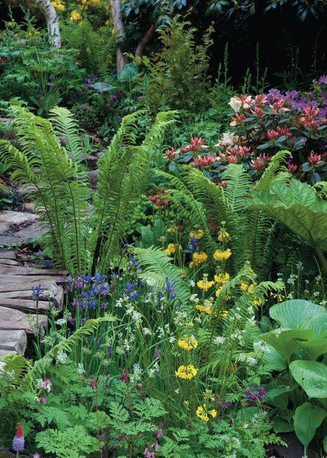 Shaded Garden, Shade Loving Shrubs, Australian Garden Design, Shade Landscaping, Naturalistic Garden, Shade Tolerant Plants, Shade Garden Plants, Wooded Landscaping, Shade Gardens