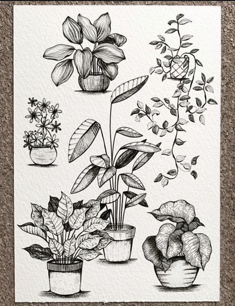 Ink Plant Drawing, Plants Pencil Drawing, Art Sketches Plants, Pen Drawing Plants, House Plant Sketch, Potted Plant Sketch, Plant Sketchbook, House Plant Tattoo Ideas, Sketch Plants