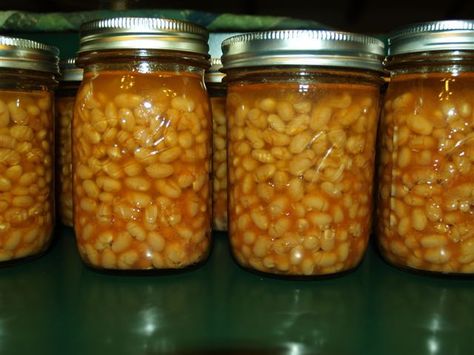 Homemade Pork And Beans, Pork And Beans Recipe, Canning Beans, Canning Meat, Canning Granny, Pork And Beans, Canned Baked Beans, Pressure Canning Recipes, Food Preserving