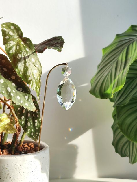 Suncatcher Room, Plant Suncatcher, Suncatcher Decor, Hanging Suncatchers, Suncatcher Crystal, Plant Stakes, Plant Mom, Prisms, Dark Room