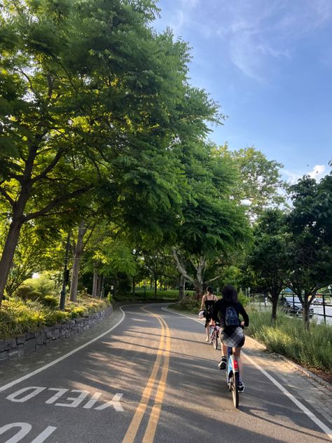 Biking Photos, Summer Biking, Bike Summer, Biking Summer, Ride Bike, Bicycle Ride, Summer Notion, Bicycle Riding, Bike Riding Astethic