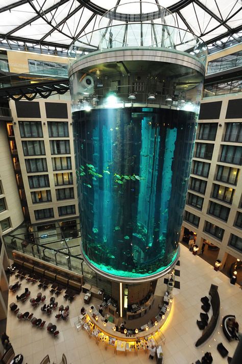 The Radisson Blu Hotel In Berlin, Germany may look like just another luxury hotel, however once you enter it, you will be blown away by the enormous 82-feet high aquarium in the heart of the hotel’s lobby atrium. Radisson Blu Hotel, Taipei 101, Radisson Hotel, Glass Aquarium, Radisson Blu, Gateway Arch, Living Modern, Hotel Lobby, Berlin Germany